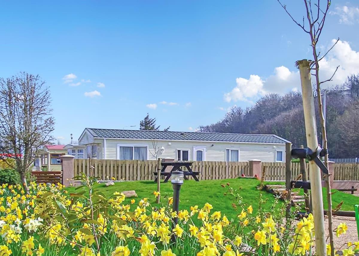 Silver Birch Caravan Park Talacre المظهر الخارجي الصورة